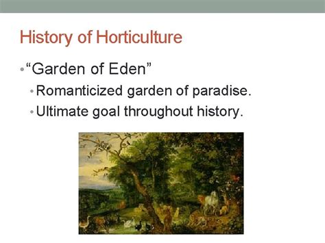 HORTICULTURE HISTORY Hypothesize TPS Where did horticulture begin