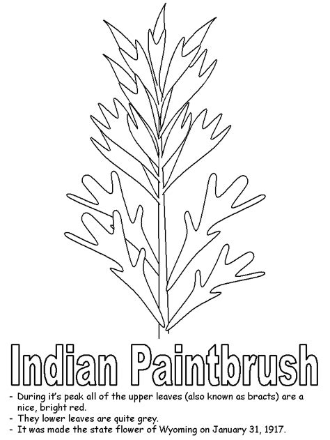 Free Indian Paintbrush Cliparts, Download Free Indian Paintbrush ...