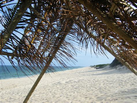 Macaneta Beach, Mozambique | Beach, Scenes, Outdoor