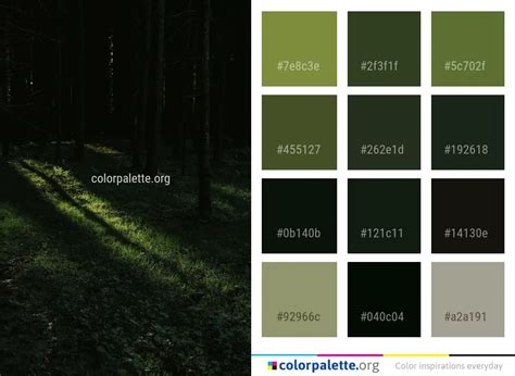 Forest Nature Green Color Palette | colorpalette.org