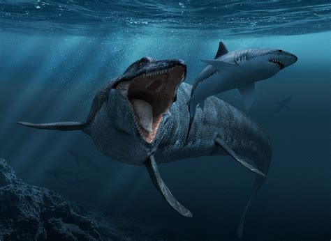 Mosasaurus | Prehistoric creatures, Sea monsters, Prehistoric