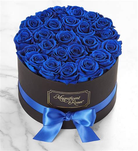 Blue Roses | 1800Flowers