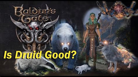 Baldur's Gate 3 - Druid Class - All Wild Shapes and Special Abilities ...