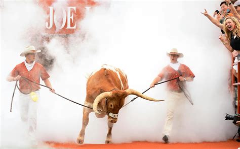 A Brief History of Bevo Behaving Badly – Texas Monthly