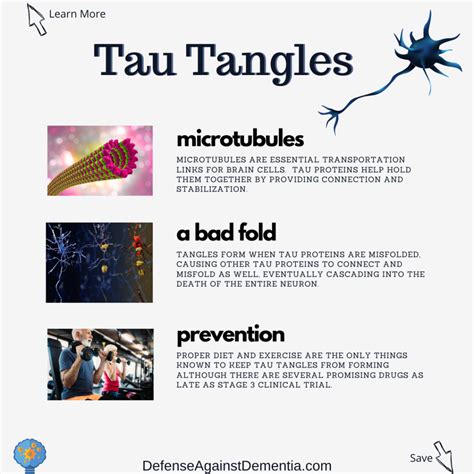 Tau Tangles – Defense Against Dementia