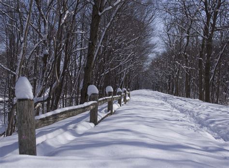 Snow Covered Path - Pentax User Photo Gallery