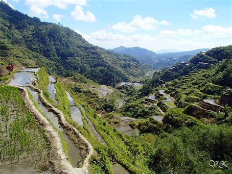 Banaue: The Ancient Rice Terrace - Littlenomadid.com