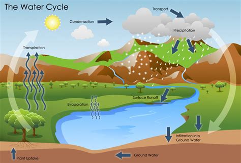 The Water Cycle | Battle Creek Area Clean Water Partnership