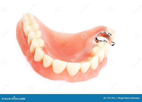 Dental prosthesis stock image. Image of care, mouth, life - 7731781