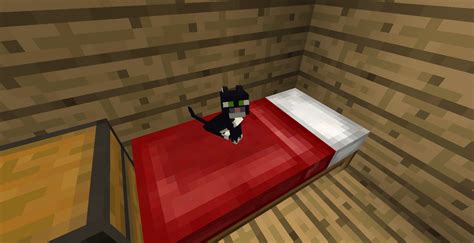 Minecraft Cute Baby Kitty On My Bed ^_^ by SonicTheDashie on DeviantArt