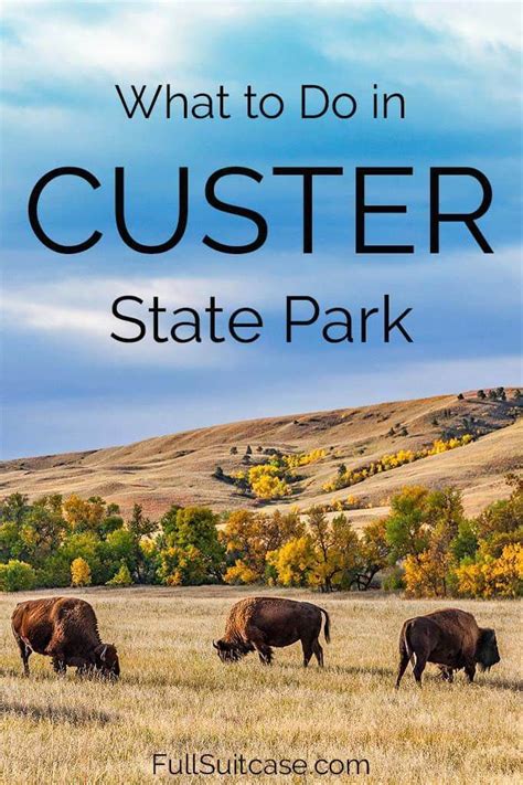 13 Great Things to Do in Custer State Park (+ One Day Itinerary) | South dakota road trip ...