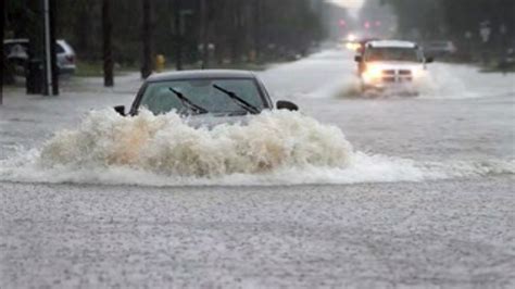 1,700 households in Windsor, Ont., area damaged by flooding from rainstorm - CityNews