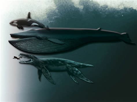 Ancient "Predator X" sea monster gets official name - CBS News