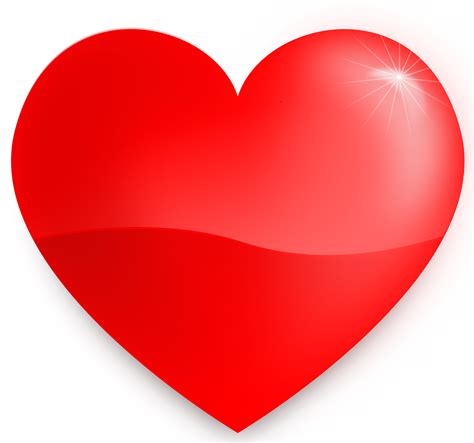 Heart Beat PNG HD Transparent Heart Beat HD.PNG Images. | PlusPNG