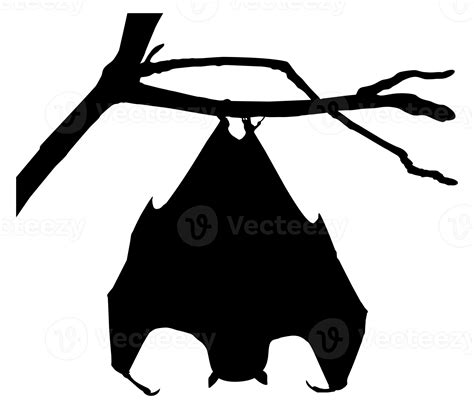 Sleeping Bat on the Branch Tree Silhouette for Halloween Poster, Art Illustration, Horror Movie ...