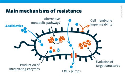 Lipids in multi resistant bacteria - Pharma Excipients