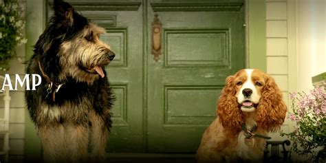 First Look At Disney’s Live-Action Lady And The Tramp Movie