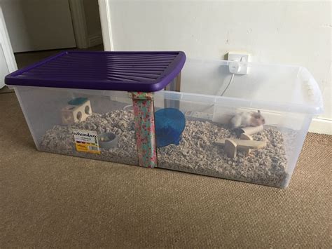 Hamster bin cage . 54lt box. 59 x 39 x 30 inches | Hamster diy, Hamster ...