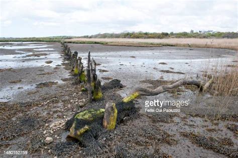 79 Ardara Ireland Stock Photos, High-Res Pictures, and Images - Getty ...