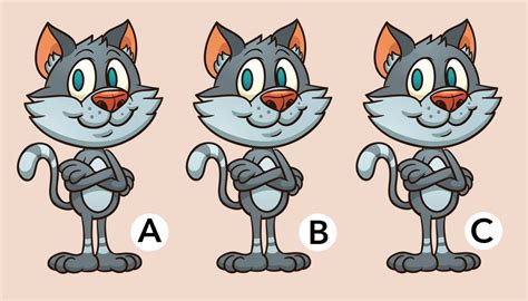 10-Second Challenge: How Fast Can You Spot Which Cat Is Different in This Photo