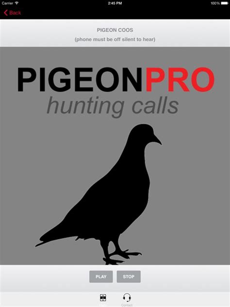 REAL Pigeon Calls and Pigeon Sounds for Hunting! -- BLUETOOTH COMPATIBLE by GuideHunting L. L. C.