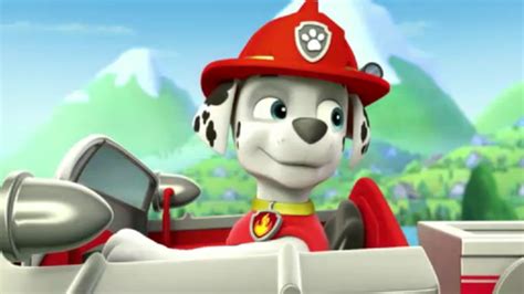 Marshall, the Dalmatian - PAW Patrol Photo (40125831) - Fanpop