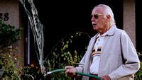 Excelsior! The Many Cameos of Marvel's Stan Lee | Fandango