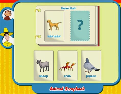 English at Intxaurrondo Hegoa School: Animal Scrapbook