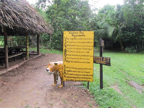 jaguar reserve belize | Honeymoon Adventurers