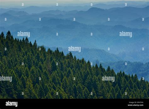 Oregon Coast Range Stock Photo - Alamy