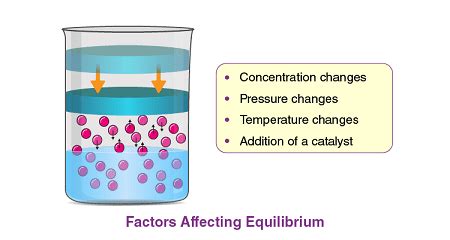 Class 11 factors affecting equilibrium - Vrindawan Boarding School