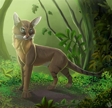 Jungle cat by Nothofagus-obliqua on DeviantArt