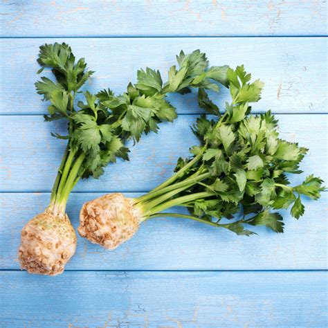 Growing Celeriac - Our Little Suburban Farmhouse