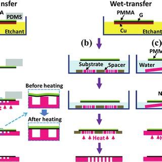 Schematic illustrations of (a) dry-and (b and c) wet-transfer processes... | Download Scientific ...