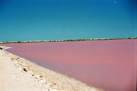 World Visits: Pink Lake in Western Australia