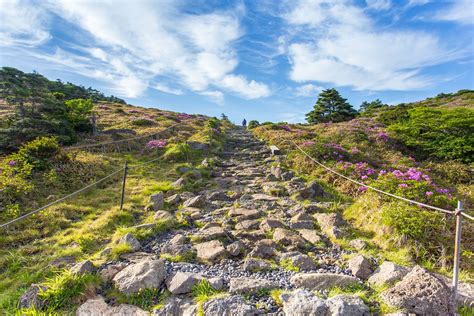 Eorimok Trail at Sunrise, Hallasan National Park, Jeju | Flickr