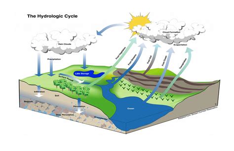 Define Drainage Basin And Watershed - Best Drain Photos Primagem.Org