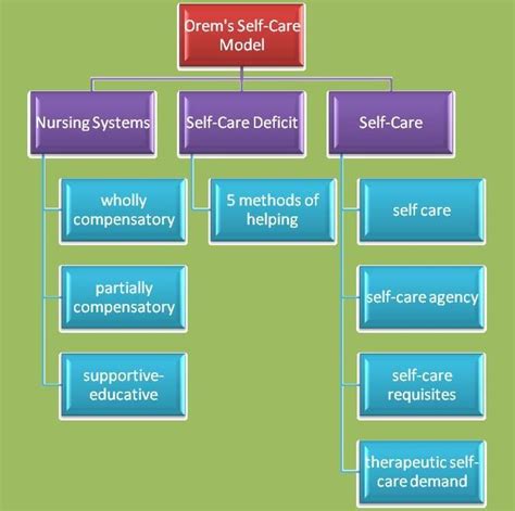 Description of the Model - Dorothea Orem's Self-Care Theory | Nursing ...