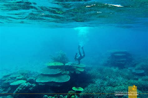 PALAWAN| Linapacan Island Hopping ~ One of the Clearest Waters in the ...