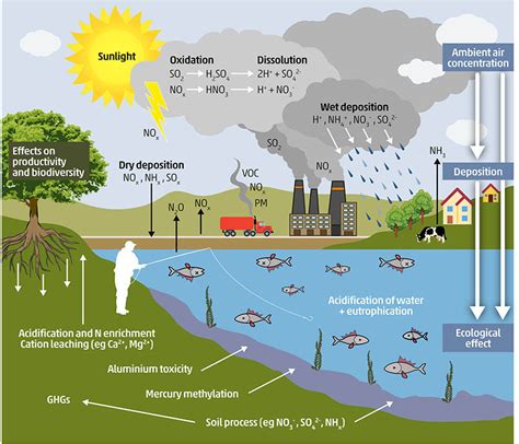 Sources of soil pollution and major contaminants in urban areas