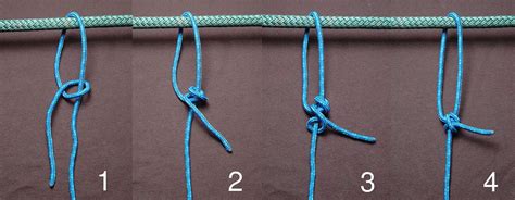 Best Knots for Camping Tarps and Tents