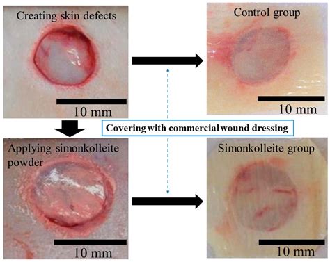 Bioengineering | Free Full-Text | The Significant Potential of ...