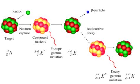 Neutron Activation Analysis | Nuclear Reactor Laboratory