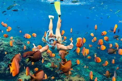 Snorkeling Nusa Penida - 4 Snorkeling Points Included Manta