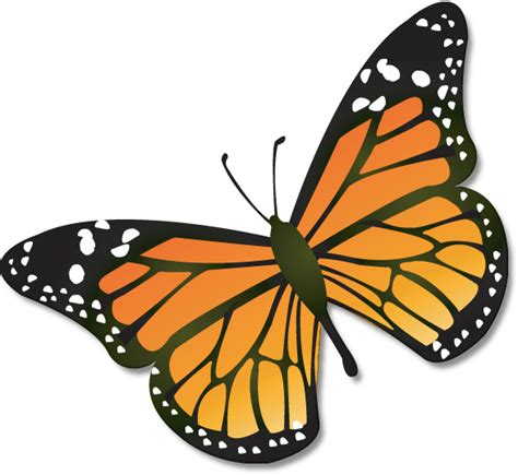 Free Monarch Butterfly Drawing, Download Free Clip Art, Free Clip Art ...