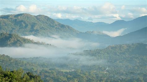 Sierra Madre: Fighting to save what's left of a vital rainforest - BBC News