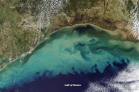 Sediment in the Gulf of Mexico : Image of the Day