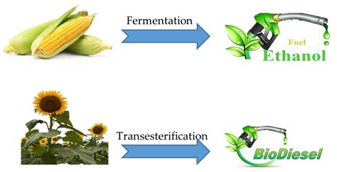 Sustainability | Free Full-Text | Role of Biofuels in Energy Transition ...