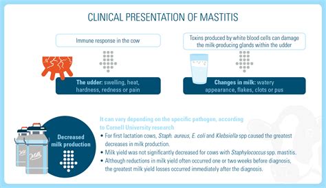 Merck | Mastitis