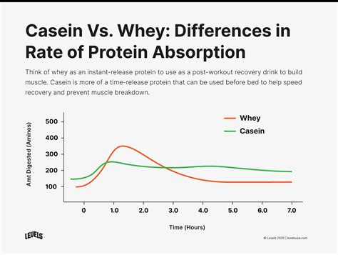 Casein vs. Whey: The Similarities and Differences Explained - Levels